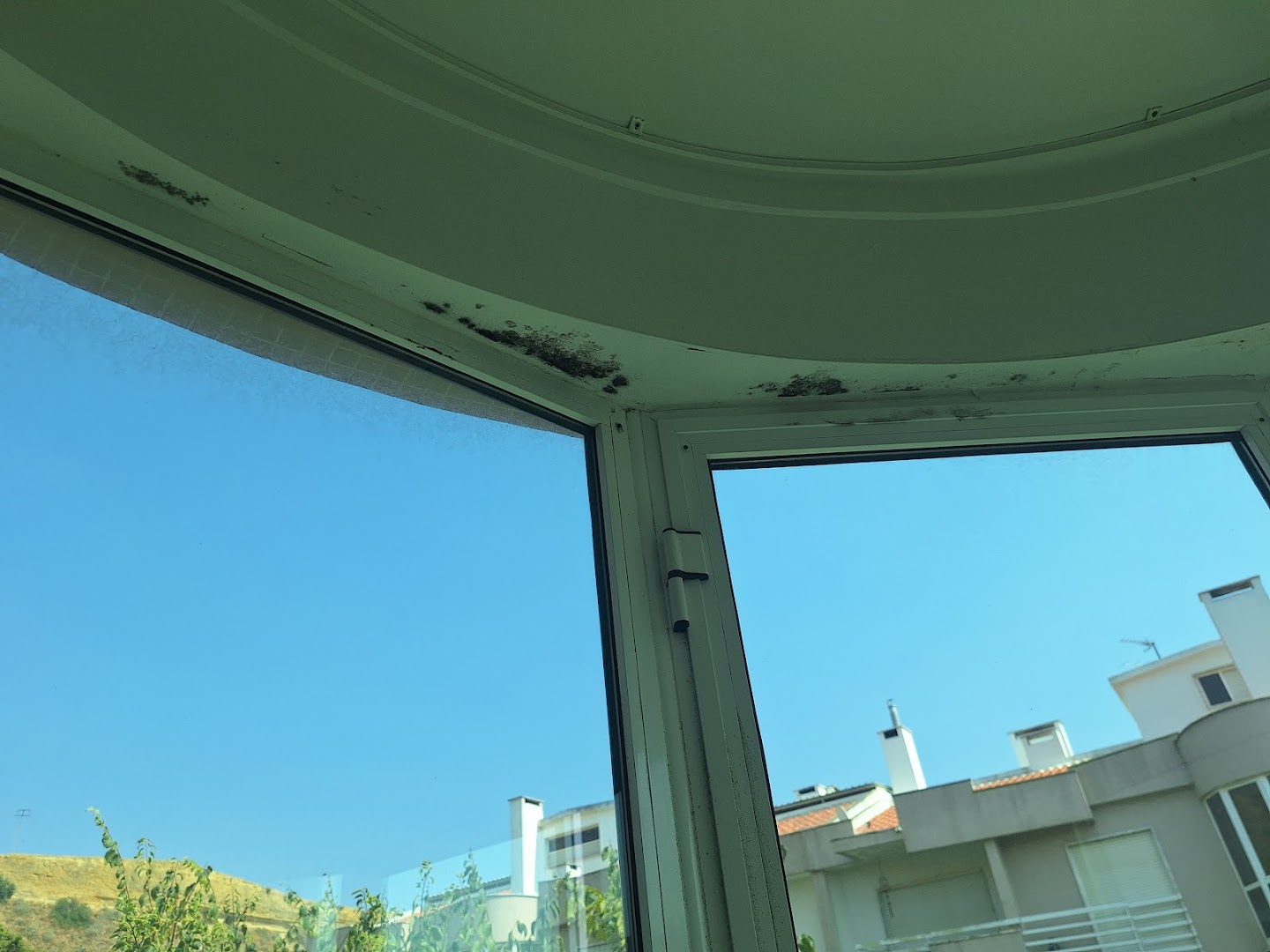 Nova cor — Fotos 1